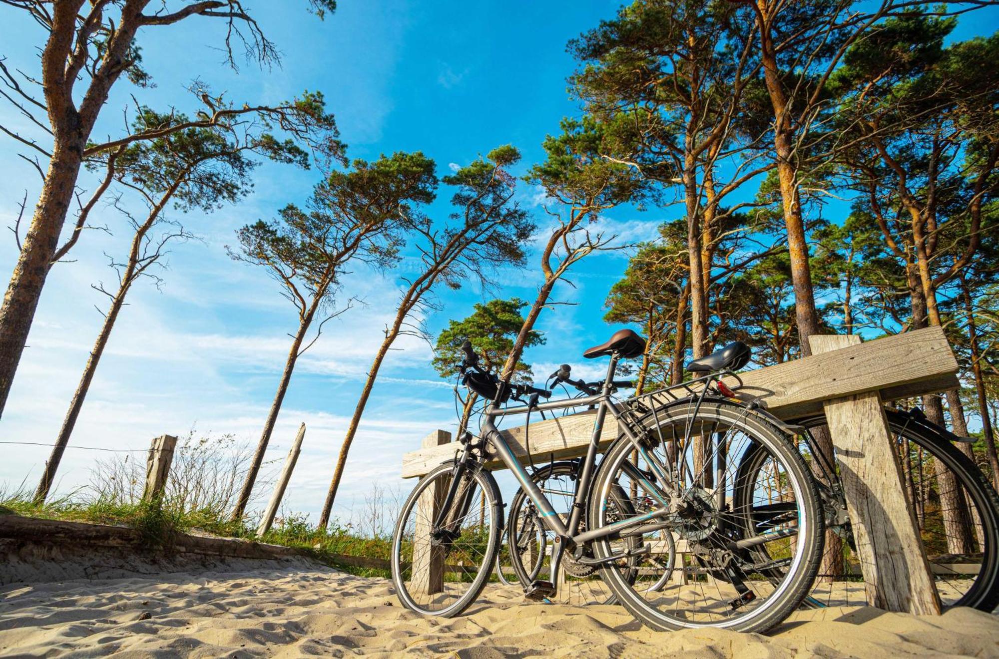 Meeresbrise Im Ostseeheilbad Zingst Εξωτερικό φωτογραφία