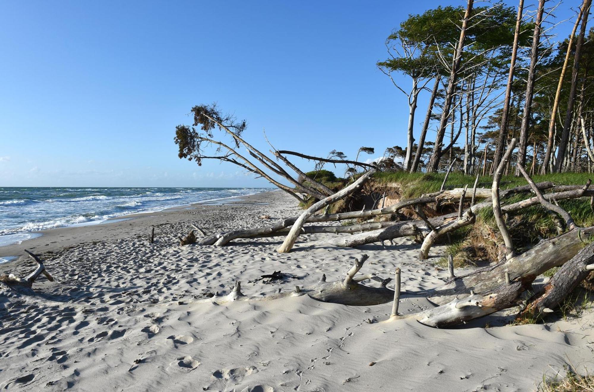 Meeresbrise Im Ostseeheilbad Zingst Εξωτερικό φωτογραφία